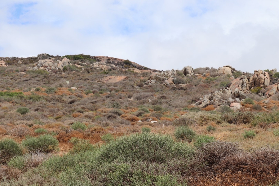  Bedroom Property for Sale in St Helena Views Western Cape